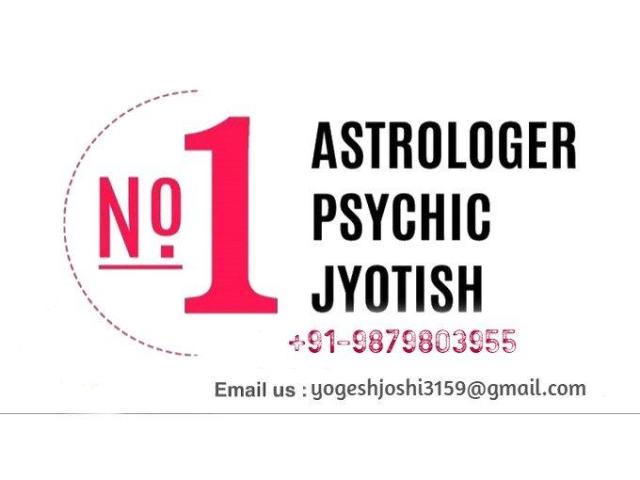 Quick Love Problem Solution Astrologer