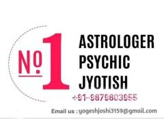 Quick Love Problem Solution Astrologer