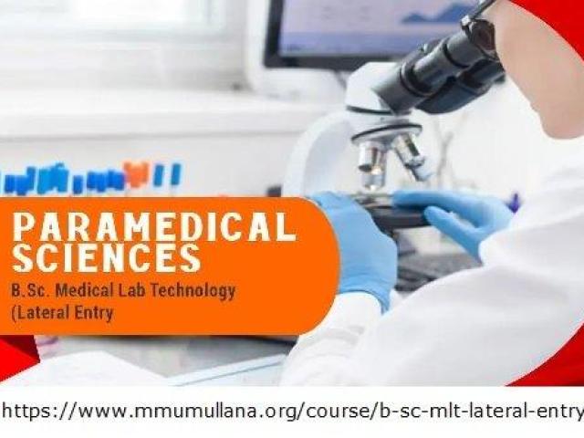 lateral entry in bsc duration