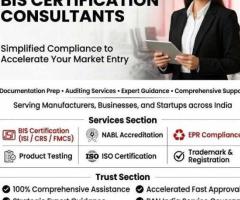 Bis certification consultants