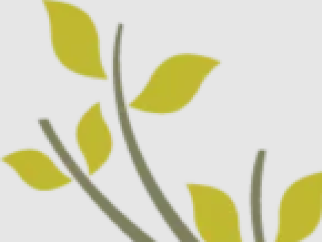 Little Scholars Parkwood