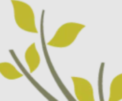 Little Scholars Parkwood