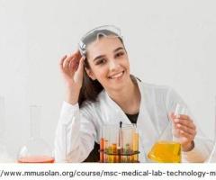 Msc mlt course details