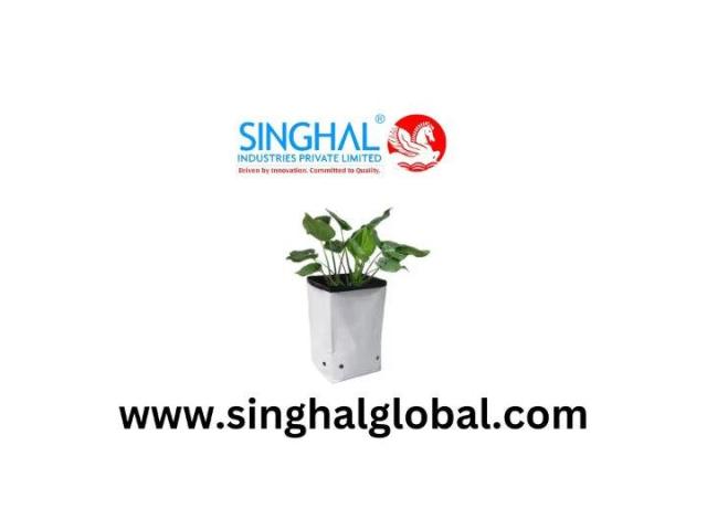 Efficient Plant Nursery Solution for Strong Root Development