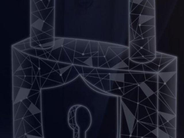 Flash USDT Software