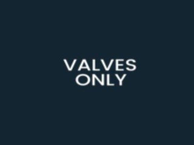 Valvesonly