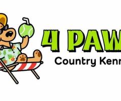 4 Paws Country Kennels LLC