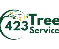 423 Tree Service