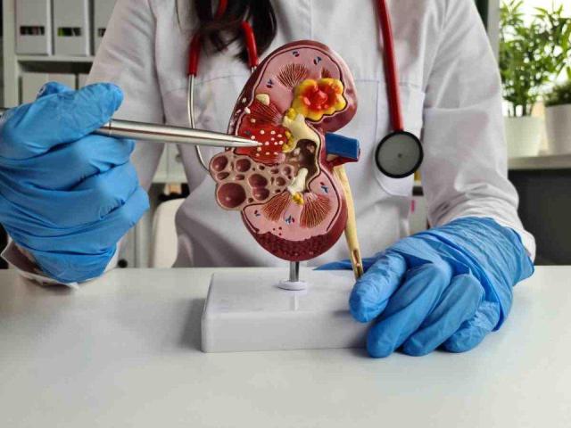 Best Nephrologist in Bhubaneswar for Expert Kidney Treatment