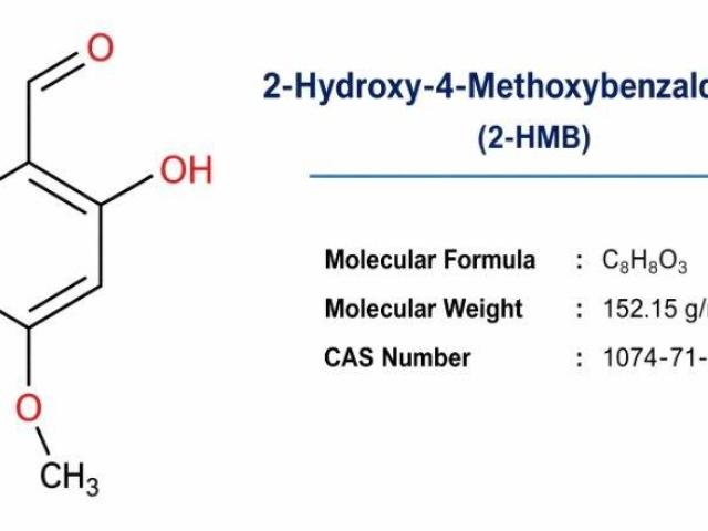 Sarna Chemicals – Export Quality 2-Hydroxy-4-Methoxybenzaldehyde (2-HMB)