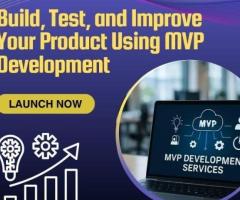 Modern MVP Development Company | Shiv Technolabs