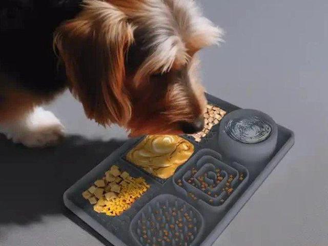 Improve Pet’s Comfort Level with Pet Care Products