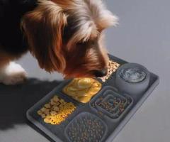 Improve Pet’s Comfort Level with Pet Care Products