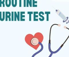 Check Routine Urine Test Price For Reliable and Quick Health Screening