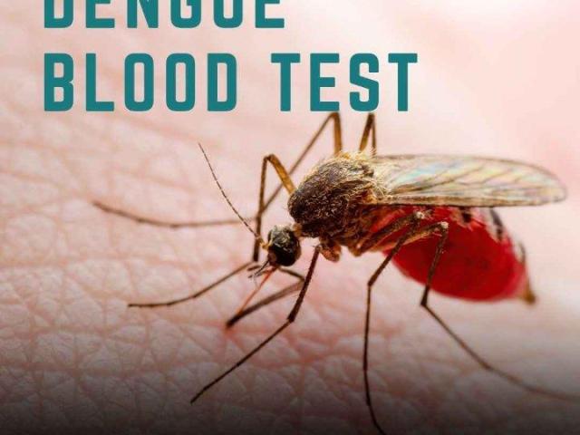 How to Check Dengue Blood Test Price and Save Money