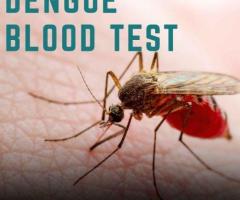 How to Check Dengue Blood Test Price and Save Money