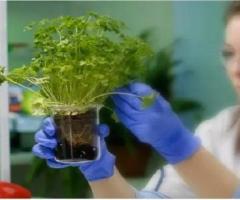 Bsc agriculture admission 2026