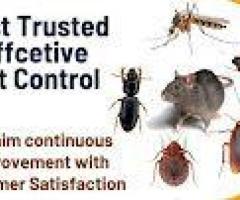 Best Cockroach Killer Treatment in Kurnool || Star Pest Control