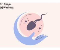 Expert Fertility Preservation | Best Fertility & IVF Doctor in South Delhi | Dr. Pooja Bajaj
