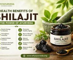 Discover Powerful Shilajit Benefits for Daily Health