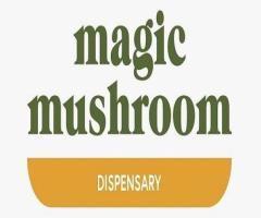 Magic Mushrooms Dispensary
