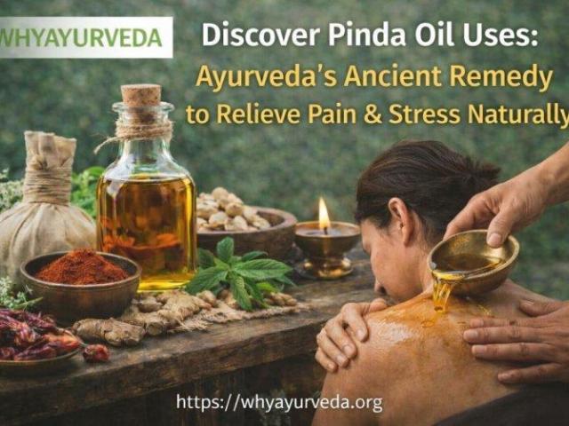 Pinda Taila Uses for Arthritis, Gout & Muscle Relief