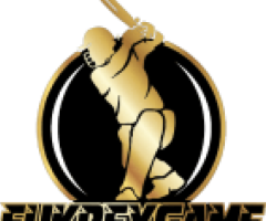 IPL Fancy Betting ID – Get Instant Cricket Betting ID on WhatsApp