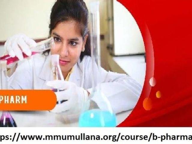 B pharmacy application form