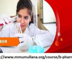 B pharmacy application form