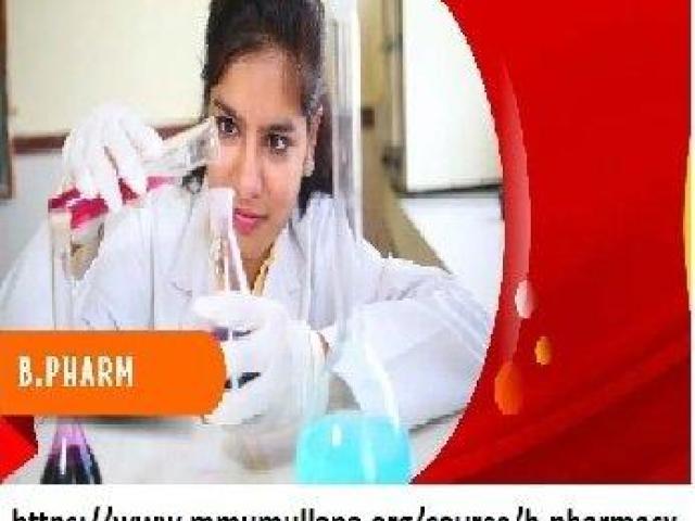 B pharmacy application form