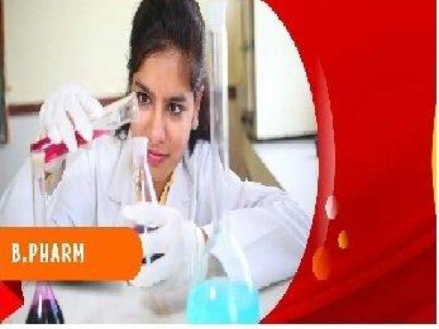 B pharmacy application form