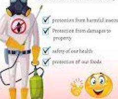 Best Ant Pest Control Services in Kurnool