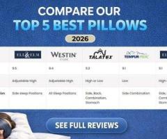 Compare Top 5 Best Pillow Picks for 2026 Sleep Comfort