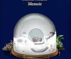 Buy Persevered: A Maternal Mental Health Memoir (Paperback)