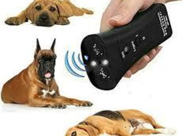 PetGentle Device Benefits: Calm, Train, and Understand Pets Effortlessly Today!