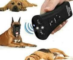 PetGentle Device Benefits: Calm, Train, and Understand Pets Effortlessly Today!