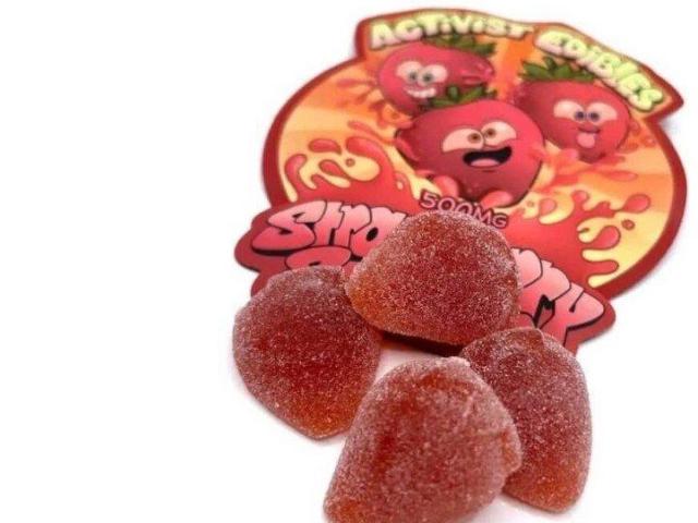 Premium Functional Mushroom Gummies