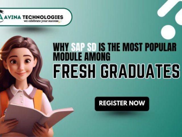 Best sap training institute in ameerpet