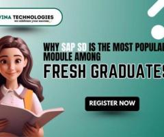 Best sap training institute in ameerpet