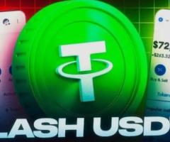 USDT Flasher Software Solutions — TRC20, ERC20 & BEP20.