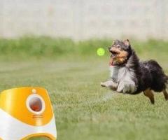 Automatic Dog Ball Launcher Toy