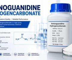 How Sarna Chemicals Ensures Purity in Aminoguanidine Hydrogencarbonate Production