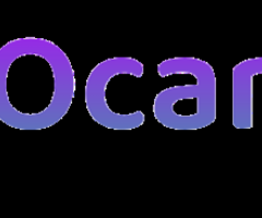 Professional Website Designing Services in Chandigarh – Build Your Brand Online!