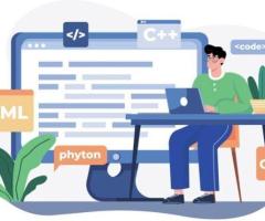Hire a Professional WordPress Developer for a Fast and Secure Website