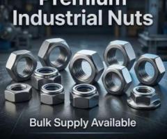 Purchase Premium Nuts in Bulk at Best Prices Today!