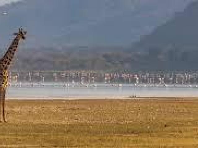 Luxury Zanzibar Beach Holidays with Safari Packages