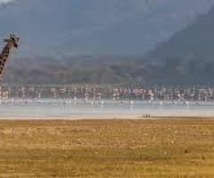 Luxury Zanzibar Beach Holidays with Safari Packages