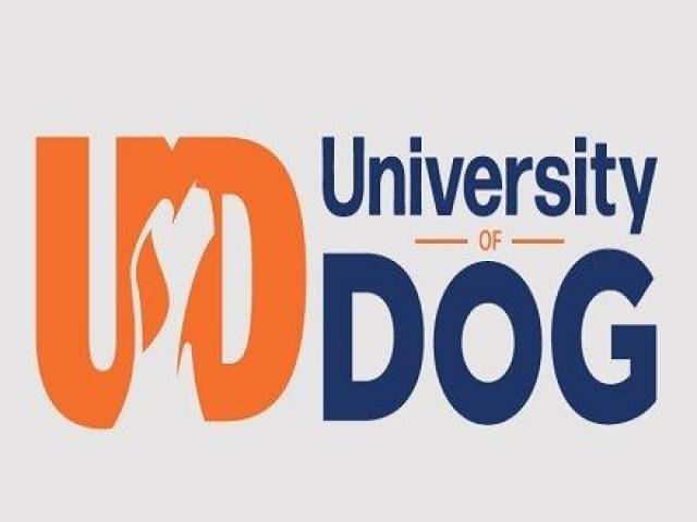University of Dog