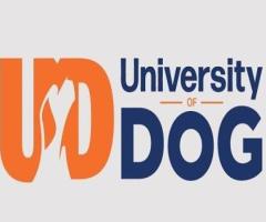 University of Dog