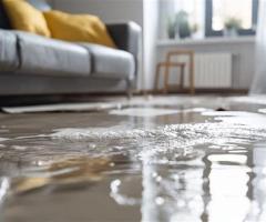 Greenville Emergency Fire, Mold & Water Damage Repair Services
